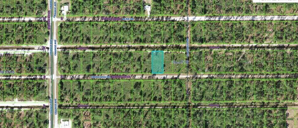 This is an aerial map showing a highlighted rectangular plot of land in a wooded area — 706 TROPICANA DRIVE, INDIAN LAKE ESTATES, FL