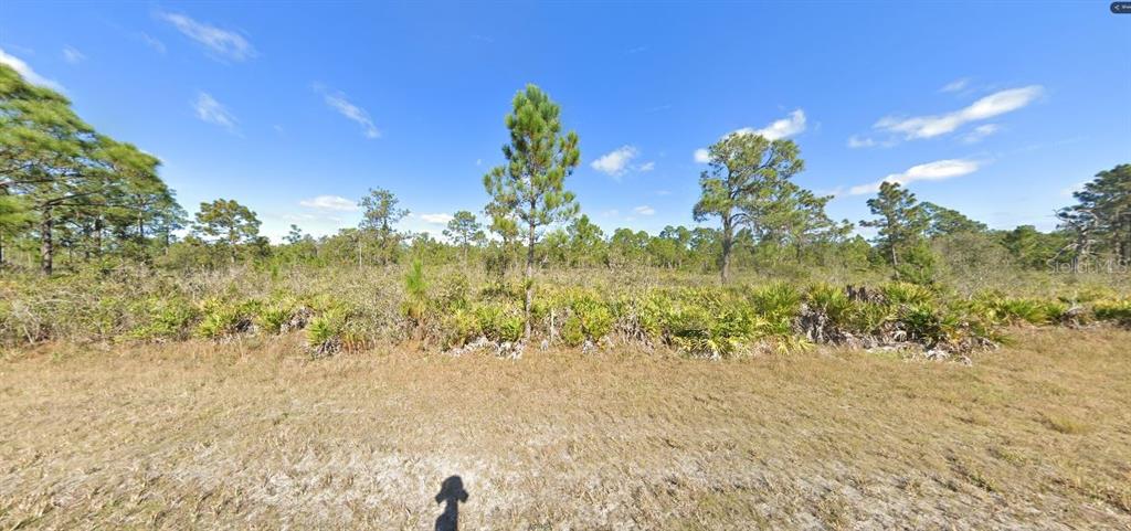 A view of a flat, undeveloped lot featuring sparse pine trees and low-lying scrub vegetation — 706 TROPICANA DRIVE, INDIAN LAKE ESTATES, FL