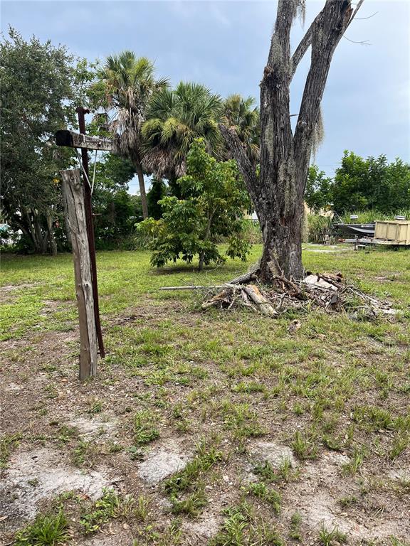 A grassy lot features a weathered wooden post, a large tree, and palm trees — 903 ANDERSON ROAD, NOKOMIS, FL