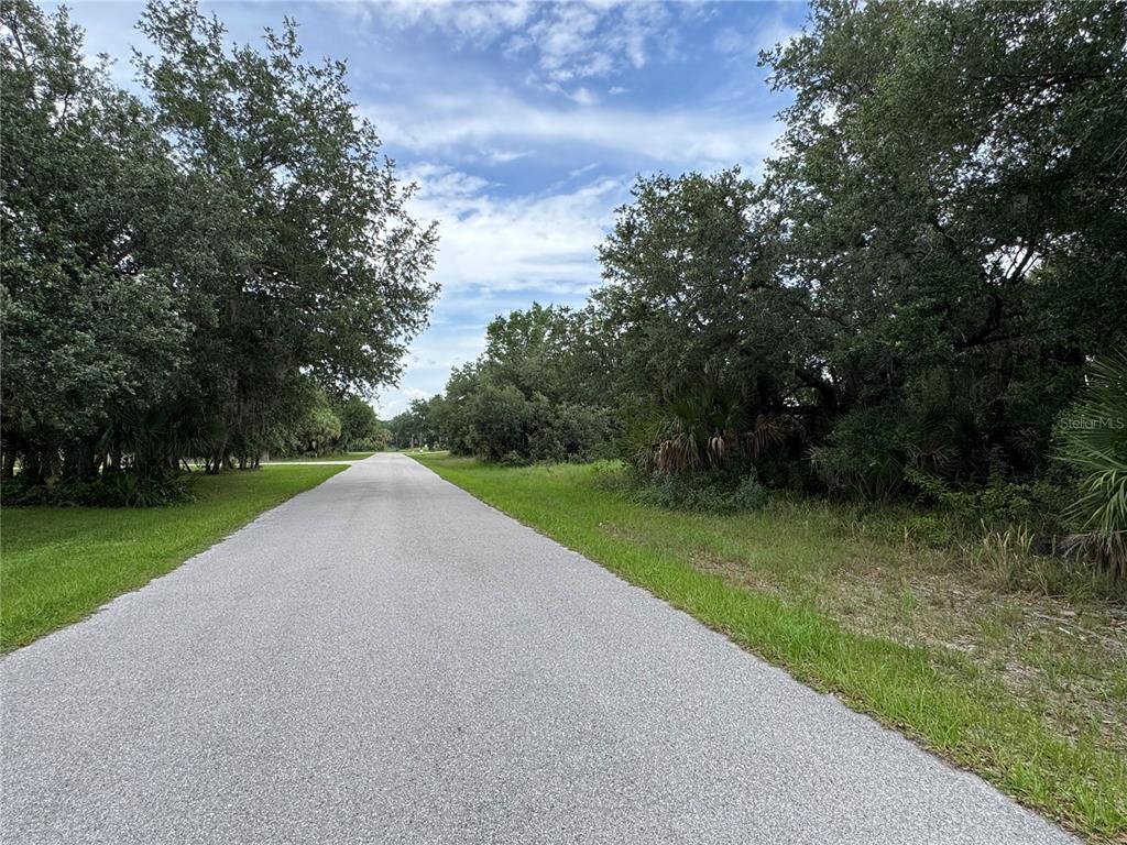A paved road stretches through a wooded area with green grass on both sides — 318 LEONA STREET, PORT CHARLOTTE, FL
