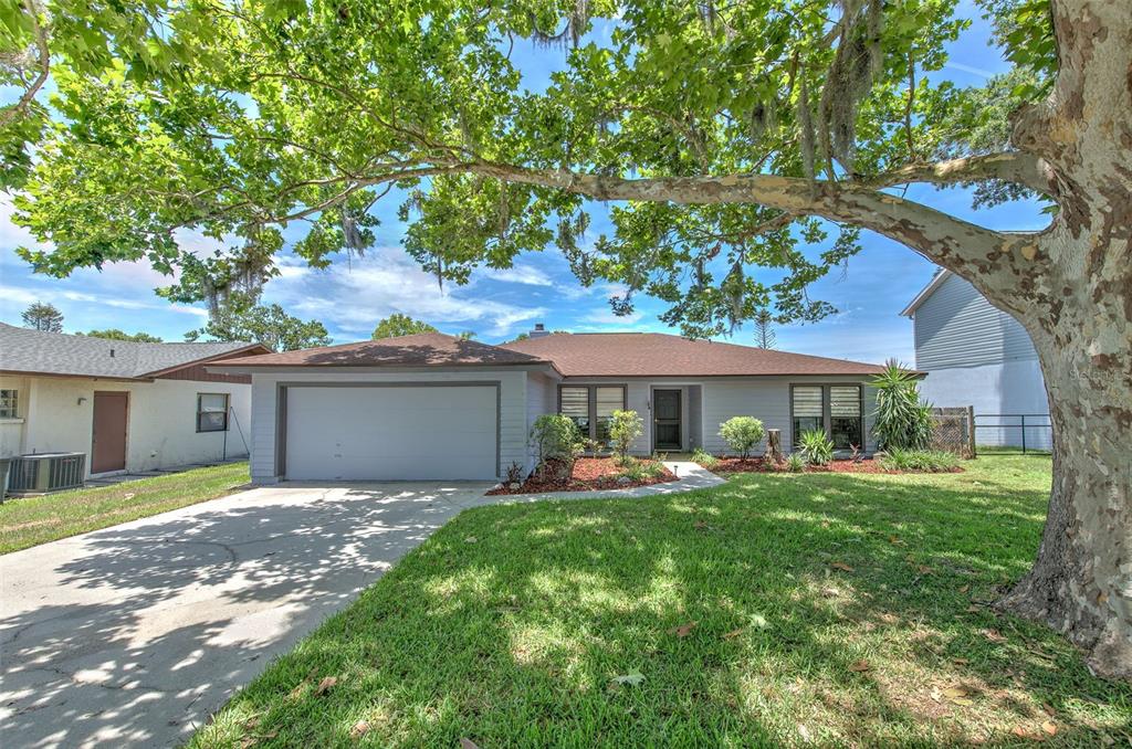 A single-story house with a two-car garage, light gray siding, and a large shade tree — 2459 SHOREWOOD LANE, LAND O LAKES, FL