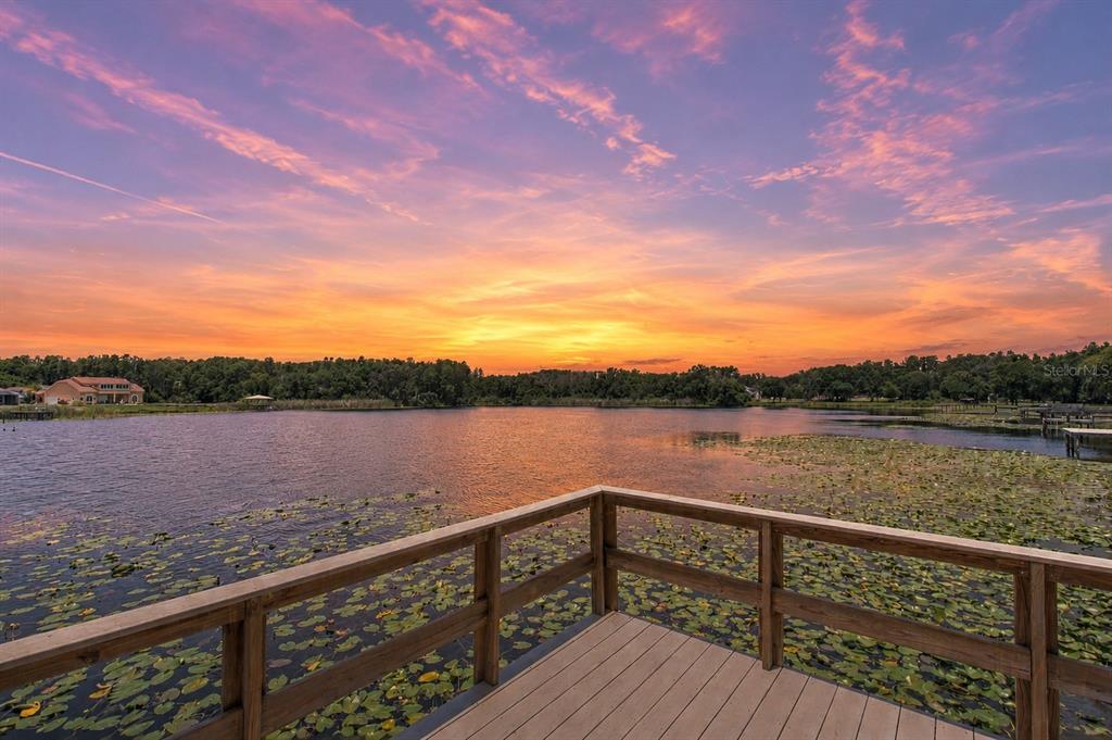 A wooden dock extends over a pond covered with lily pads near a large tree — 2459 SHOREWOOD LANE, LAND O LAKES, FL