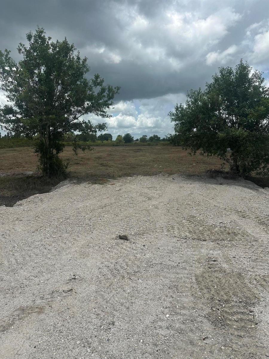 A gravel driveway leads to a large, open grassy field framed by two trees — 17980 NW 252nd Street, Okeechobee FL 34972, OKEECHOBEE, FL