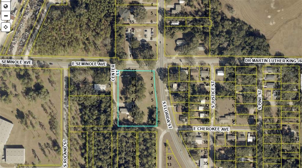 309 S CENTER STREET, BUSHNELL, FL — photo 3 of 5
