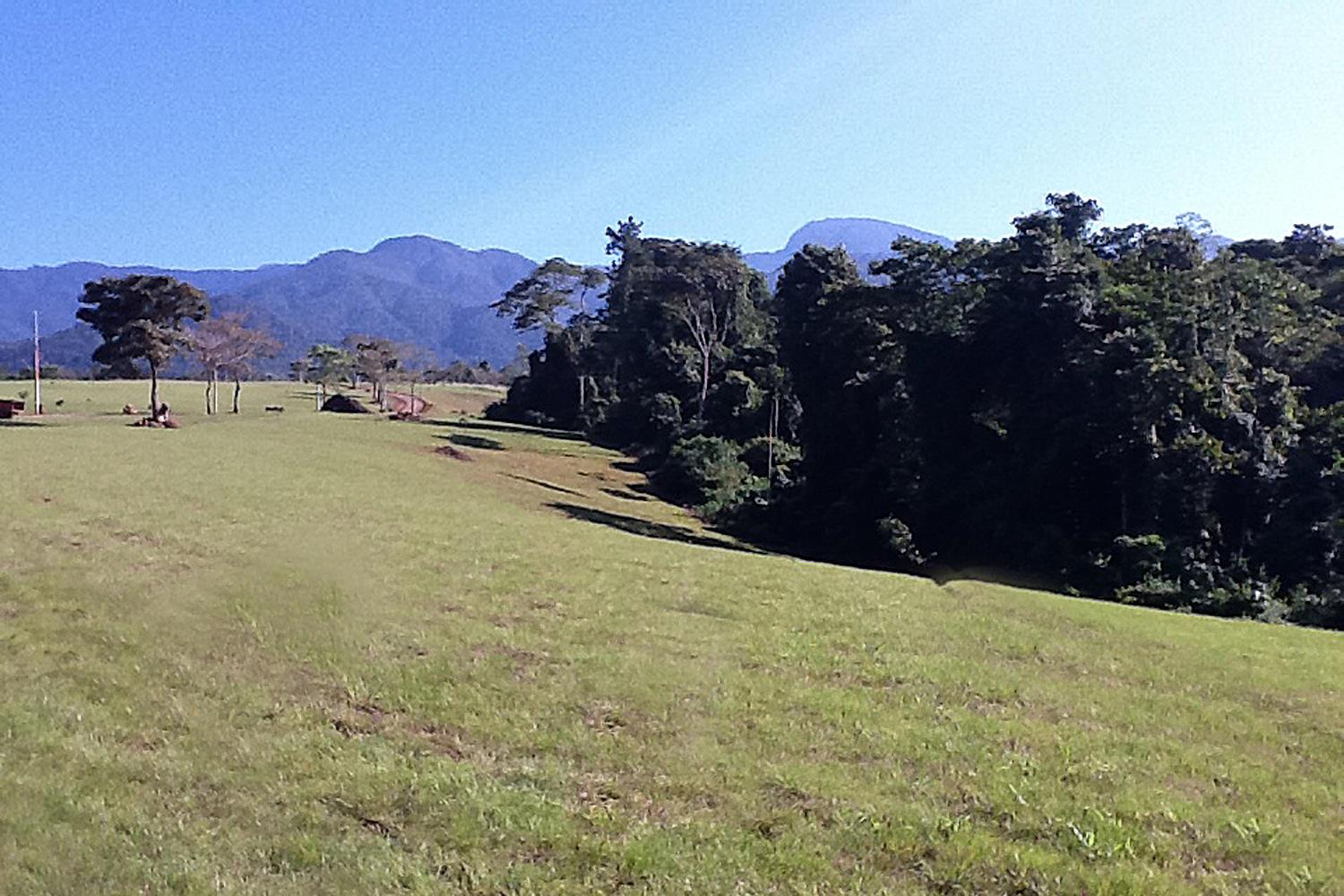 View of Forest Preserve — 000000 Quintas Berninas, FL
