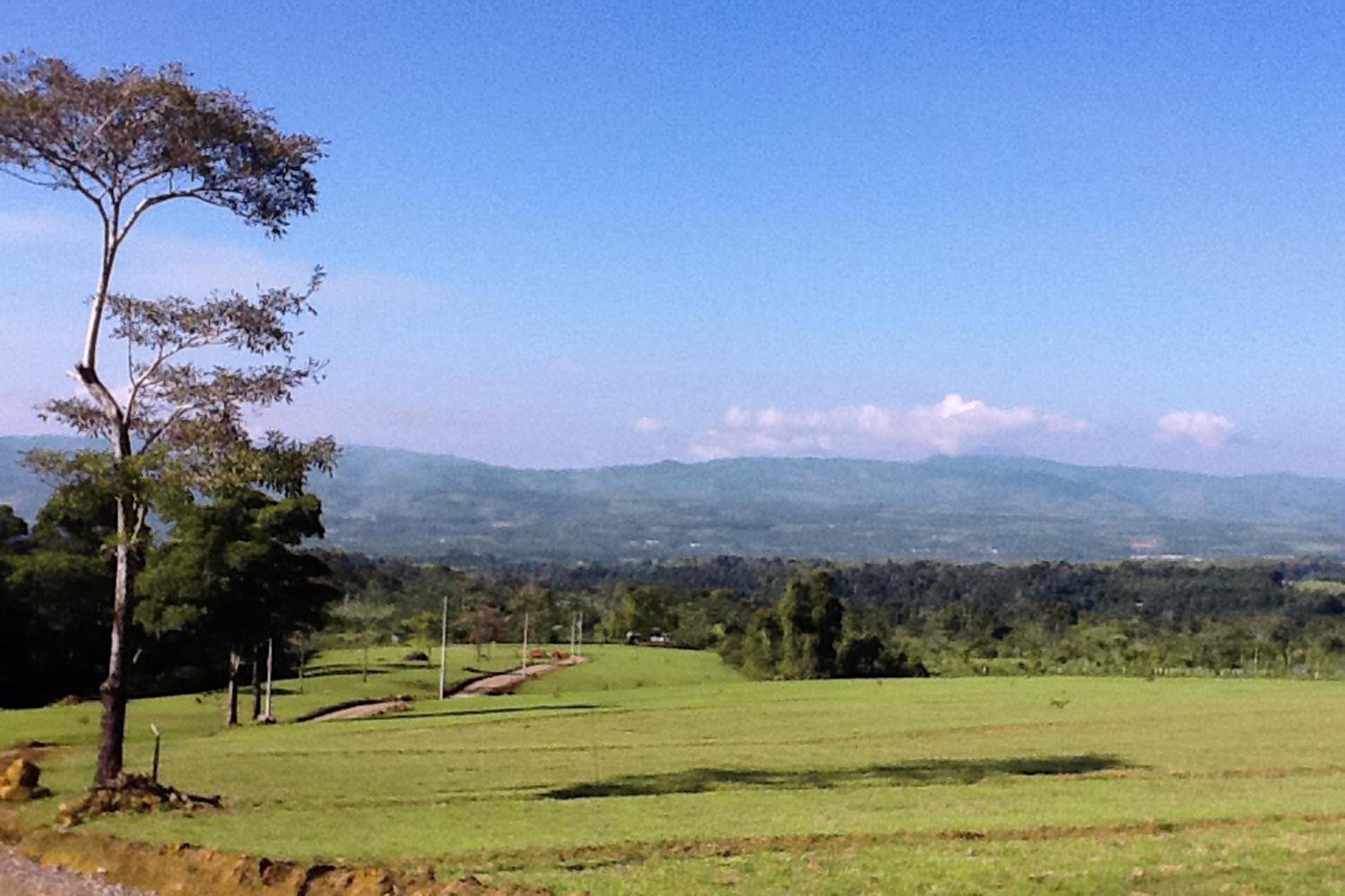South View of Valley — 000000 Quintas Berninas, FL