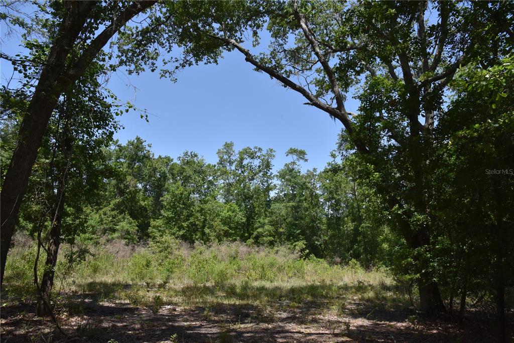 21312 NE 69TH PLACE, MELROSE, FL — photo 3 of 25