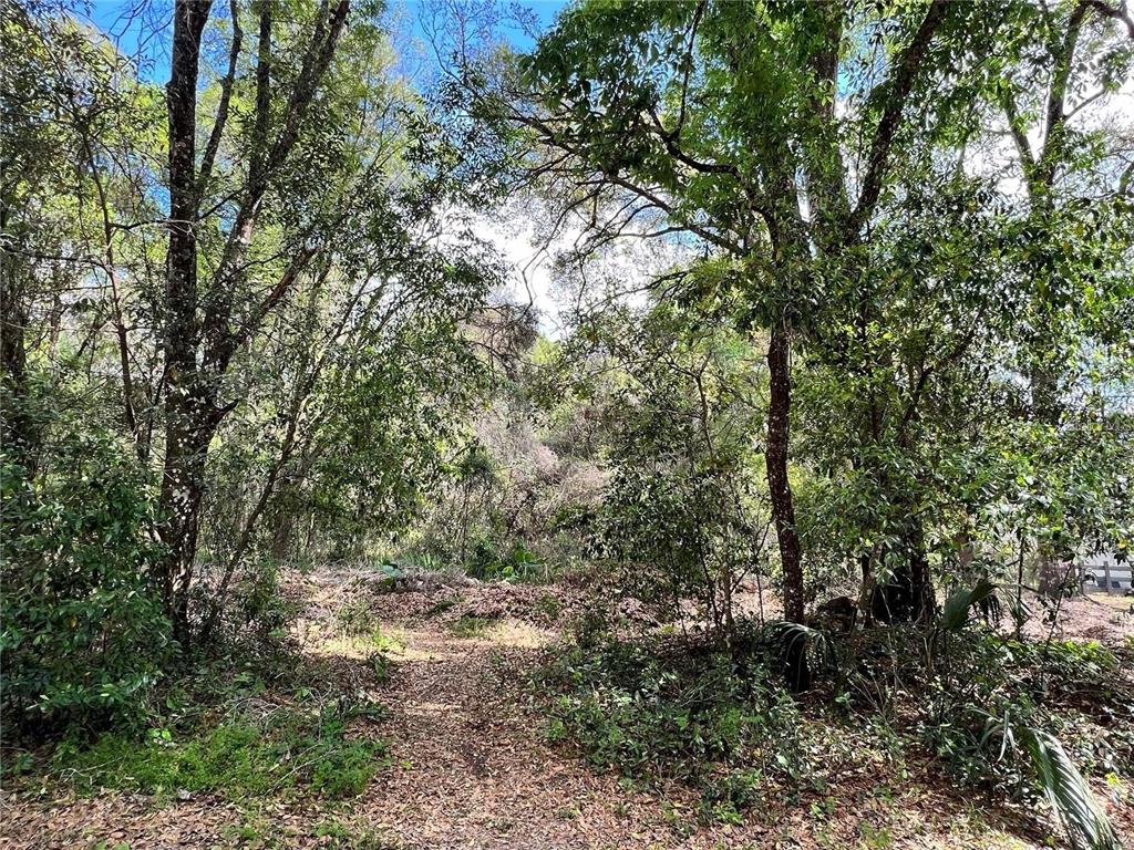 0 GARFIELD AVENUE