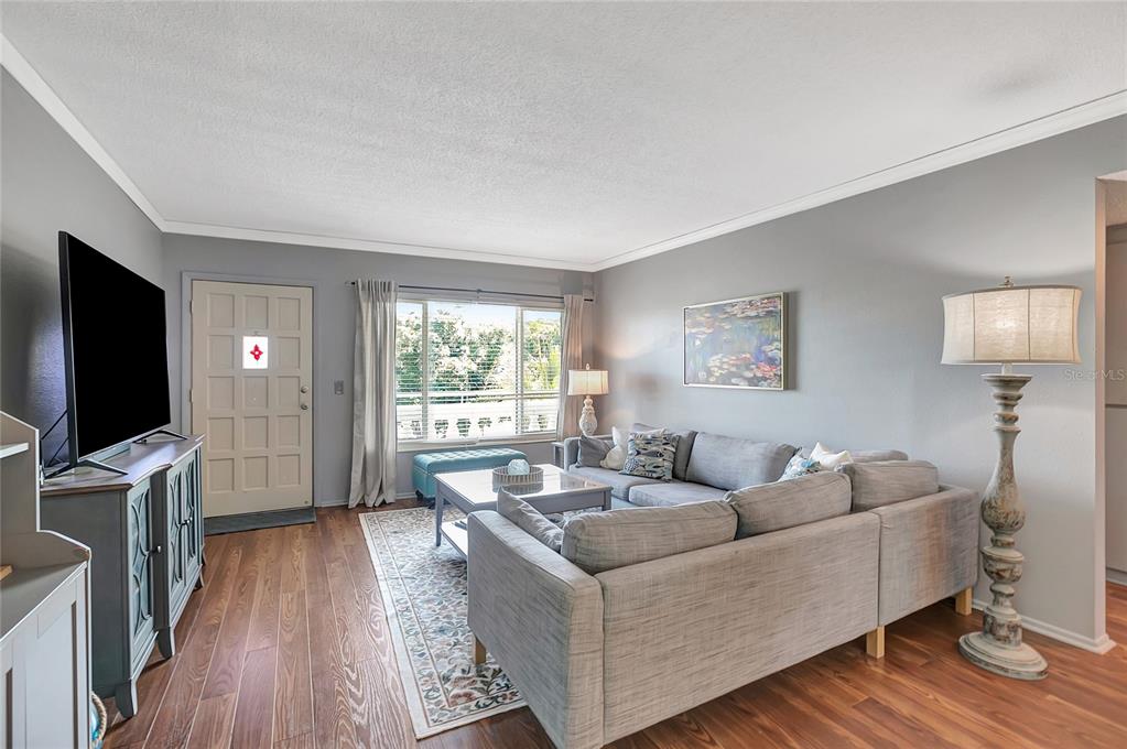A living room features a gray sectional sofa, a television, and a large floor lamp — 2461 RHODESIAN DRIVE UNIT 73, CLEARWATER, FL