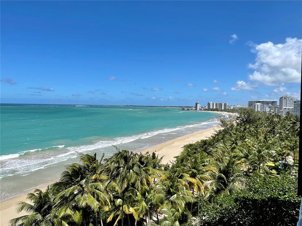 An elevated view of a sandy beach lined with palm trees and distant coastal buildings — Plaza Atlantico AVE ISLA VERDE UNIT 1002, CAROLINA, PR
