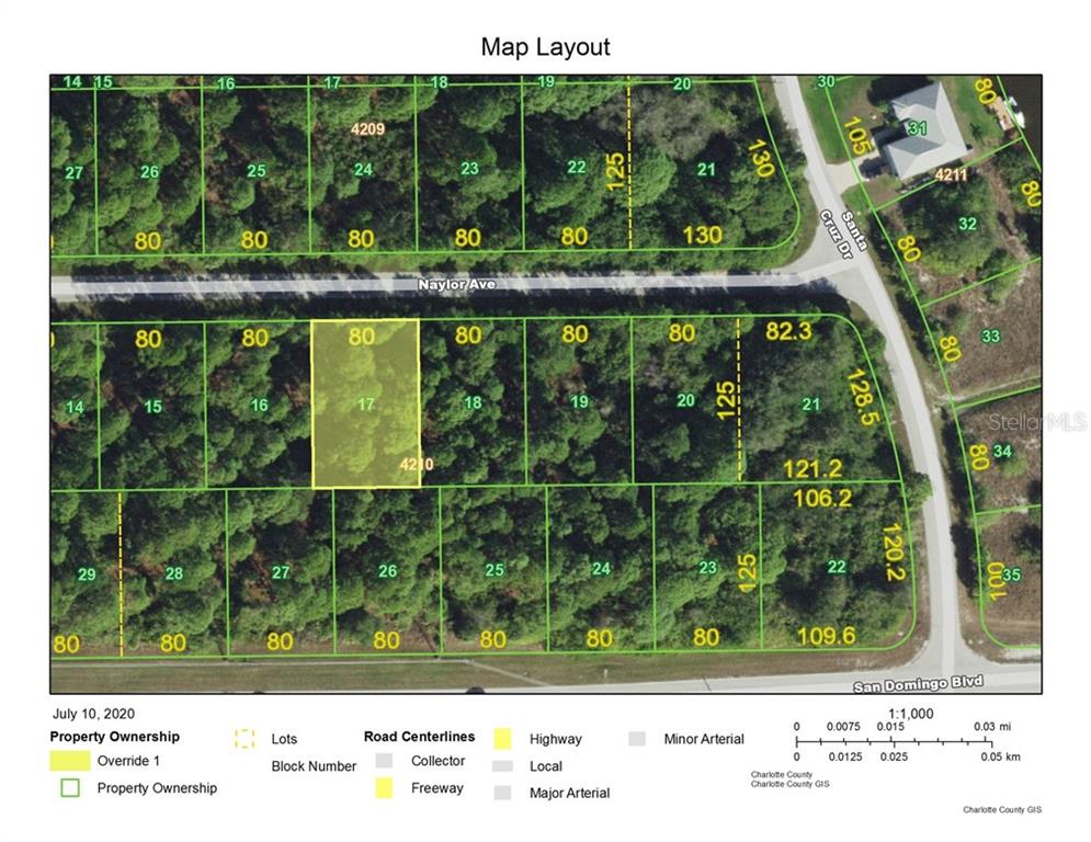 This is a map layout showing property lot lines and road centerlines in a residential area — 14217 NAYLOR AVENUE, PORT CHARLOTTE, FL