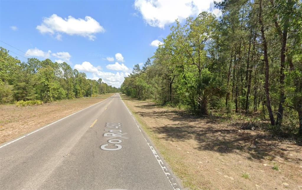 A paved road stretches through a wooded area under a blue sky with scattered clouds — 6230 W OAK PARK BOULEVARD, HOMOSASSA, FL