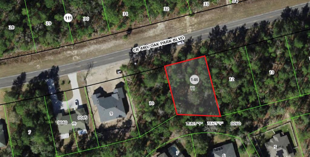 This is an aerial map showing a highlighted vacant lot located along a paved road — 6230 W OAK PARK BOULEVARD, HOMOSASSA, FL