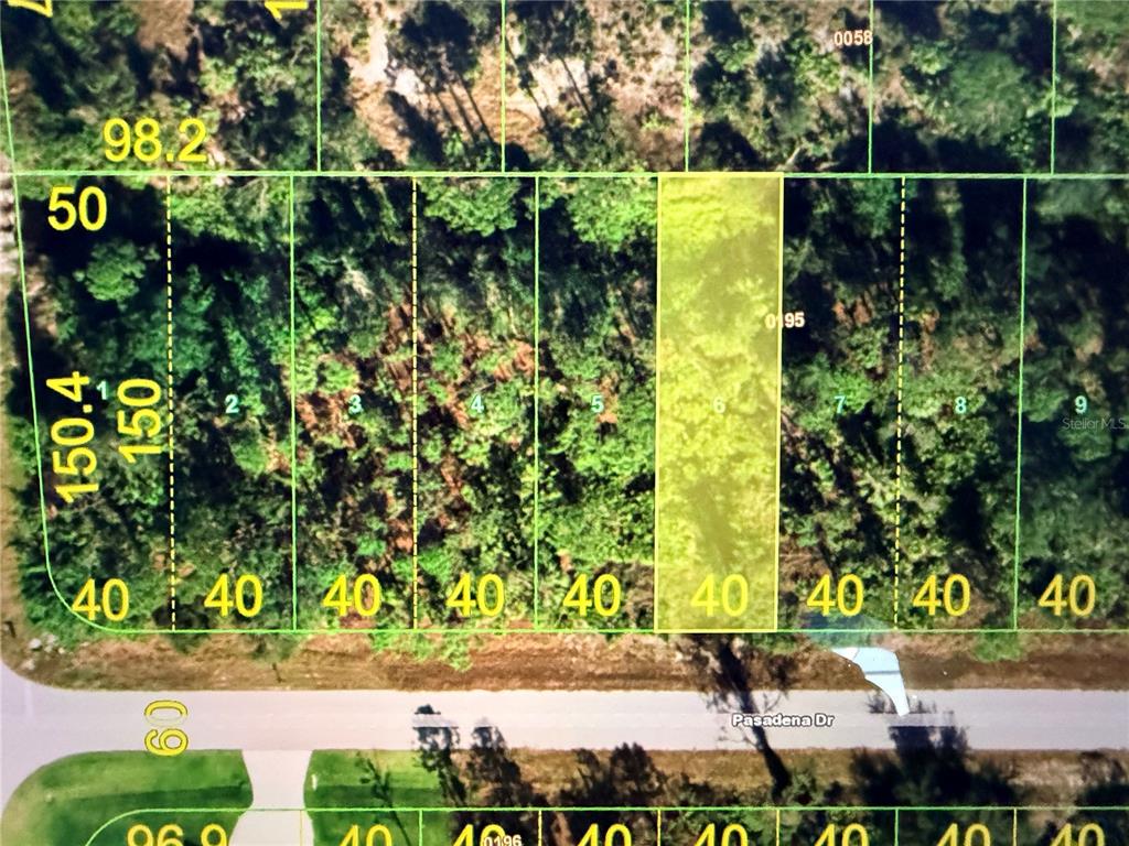This is a map showing a row of rectangular residential lots along Pasadena Drive — 27042 & 27046 PASADENA DRIVE, PUNTA GORDA, FL