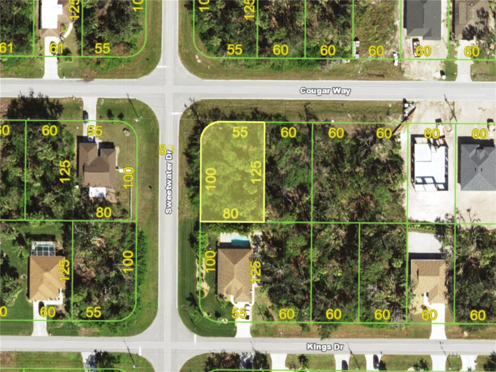 This is an aerial map showing a highlighted vacant residential lot at a street corner — 197 COUGAR WAY, ROTONDA WEST, FL