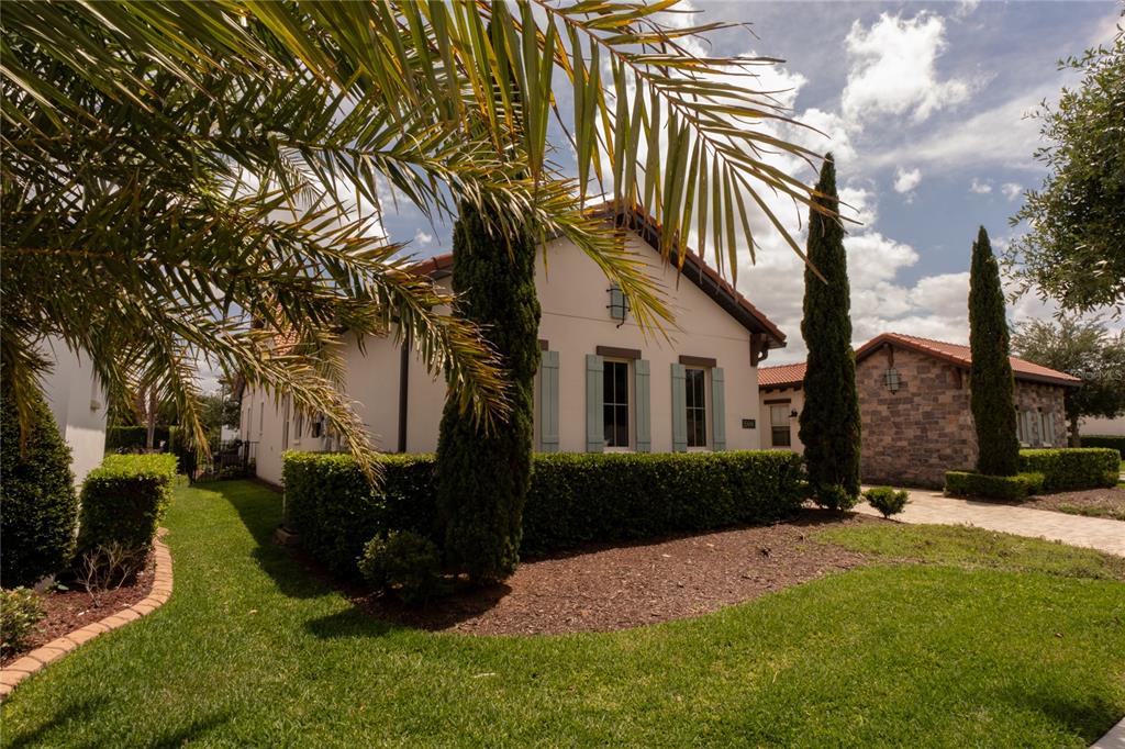 A side view of a house with a manicured hedge, tall cypress trees, and palm fronds — 15686 PANTHER LAKE DRIVE, WINTER GARDEN, FL