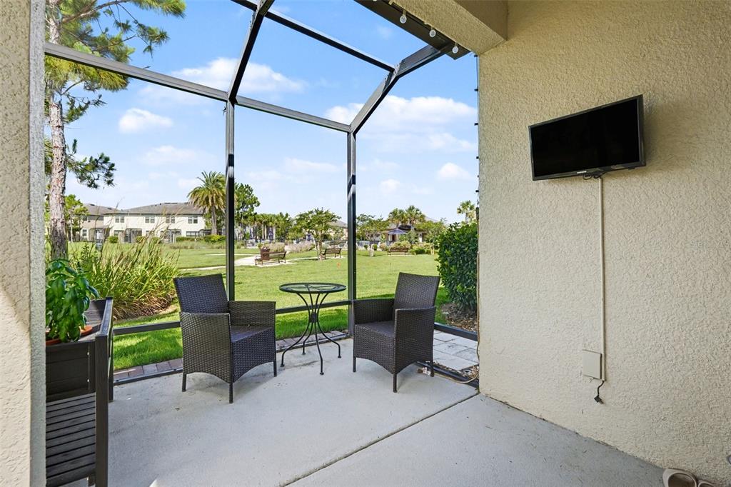 A screened-in patio features two wicker chairs, a small table, and a wall-mounted television — 30329 SOUTHWELL LANE, WESLEY CHAPEL, FL