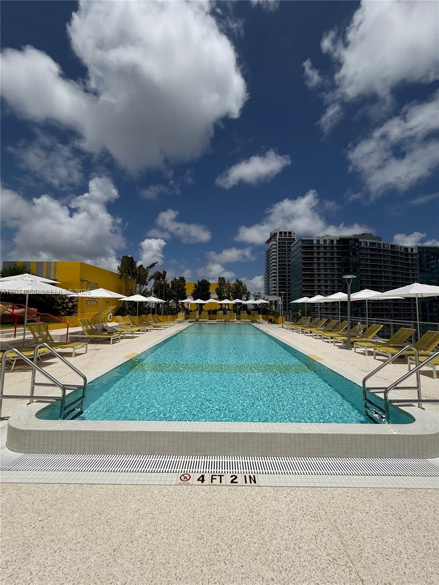 A rectangular outdoor swimming pool is surrounded by lounge chairs and umbrellas on a deck — 90 NE 32 # 412, Miami FL 33137, MIAMI, FL