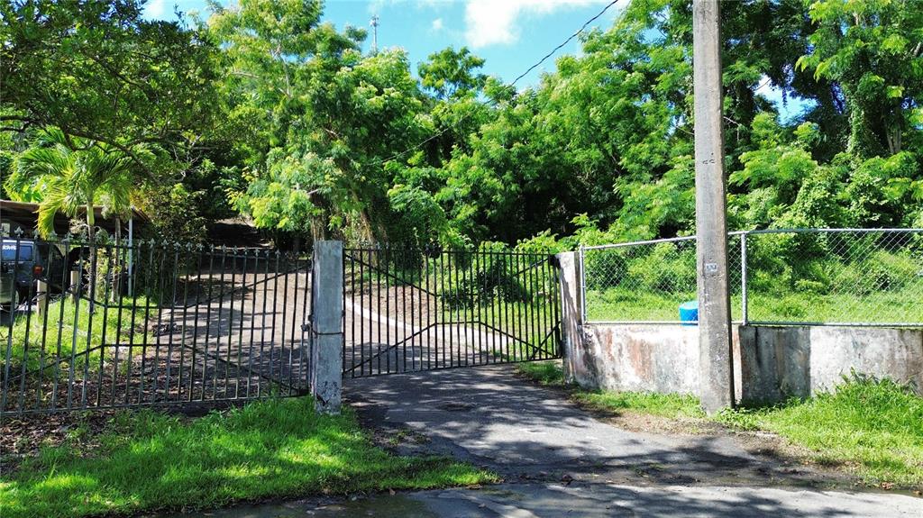 A gated driveway leads up a hill past a chain-link fence and dense green trees — CALLE BALBINO ROSA UNIT Solar C, LUQUILLO, PR