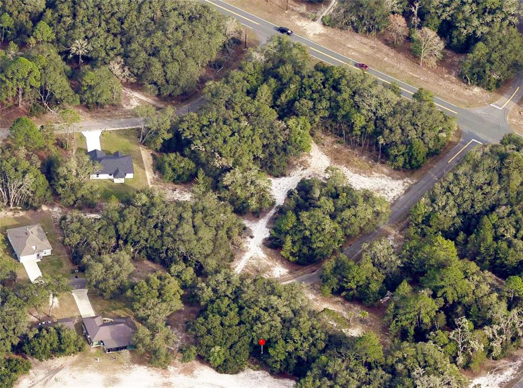 An aerial view shows a wooded lot with a red marker near a paved road — 175 FISHER LN COURT, OCKLAWAHA, FL