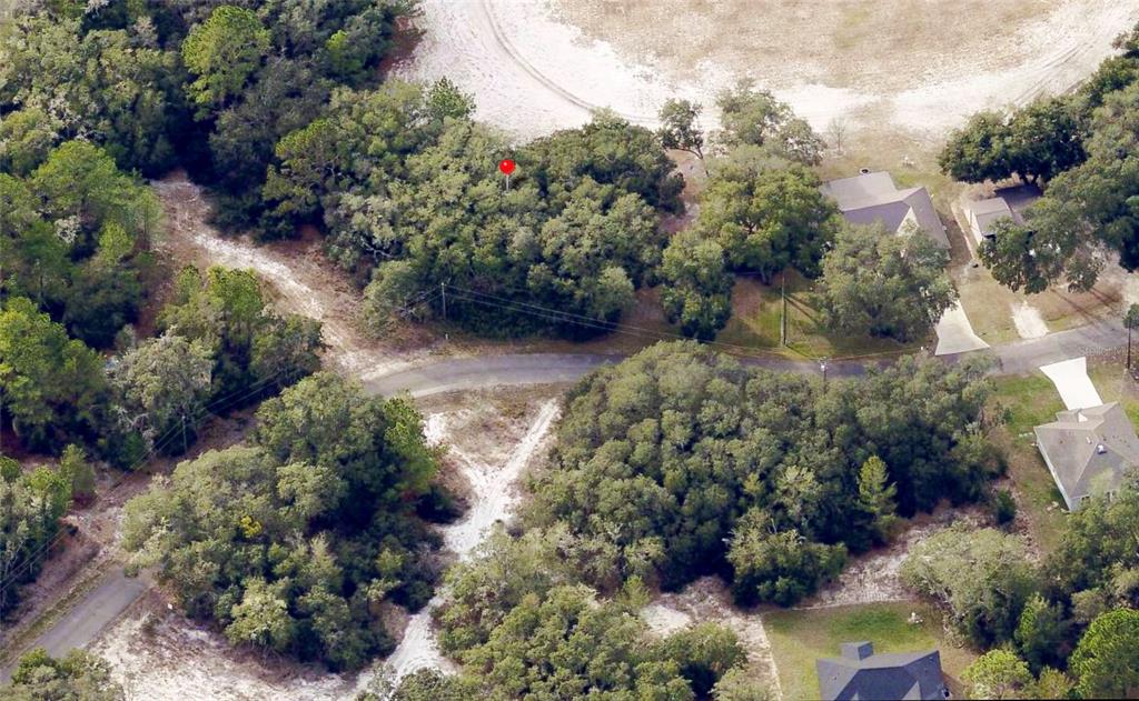 An aerial view shows a wooded residential lot with a red marker and paved road — 175 FISHER LN COURT, OCKLAWAHA, FL