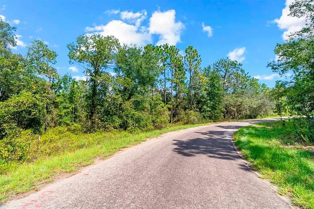 A paved road curves through a wooded area under a blue sky with scattered clouds — 175 FISHER LN COURT, OCKLAWAHA, FL
