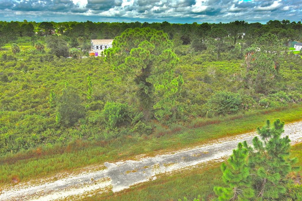 An aerial view shows a dirt road bordering a dense, wooded lot with a house nearby — 642 VASSER AVENUE S, LEHIGH ACRES, FL