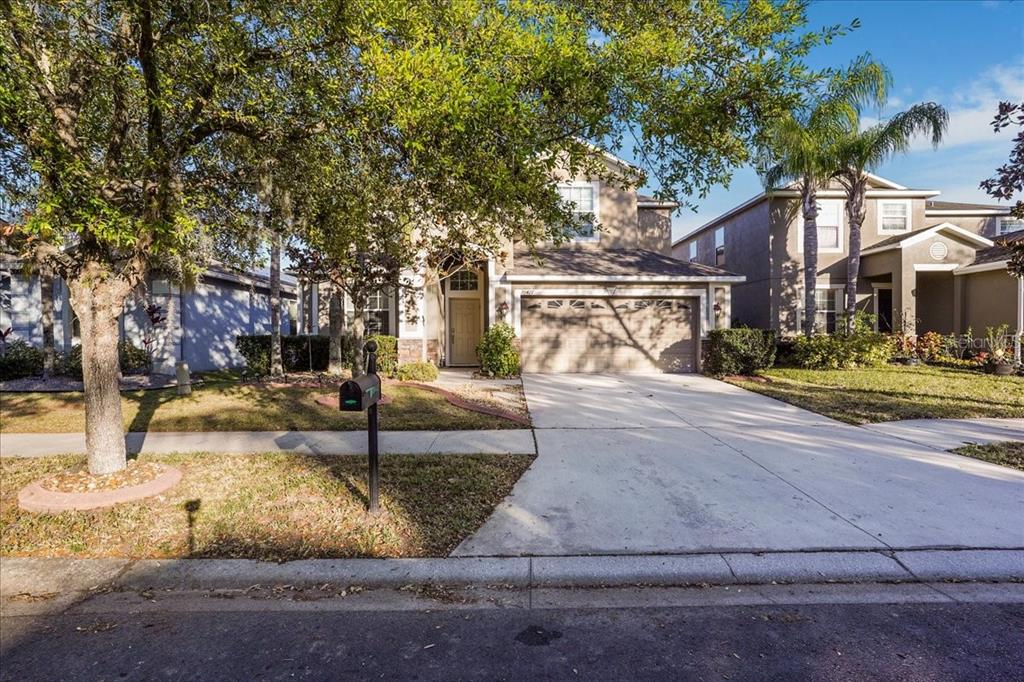 20427 CAROLINA CHERRY COURT