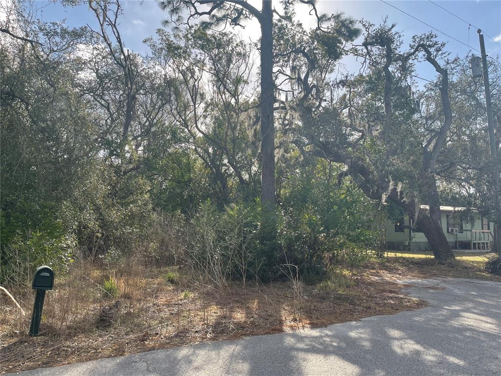 A wooded, undeveloped residential lot sits next to a small house along a paved road — 10024 OANA STREET, NEW PORT RICHEY, FL