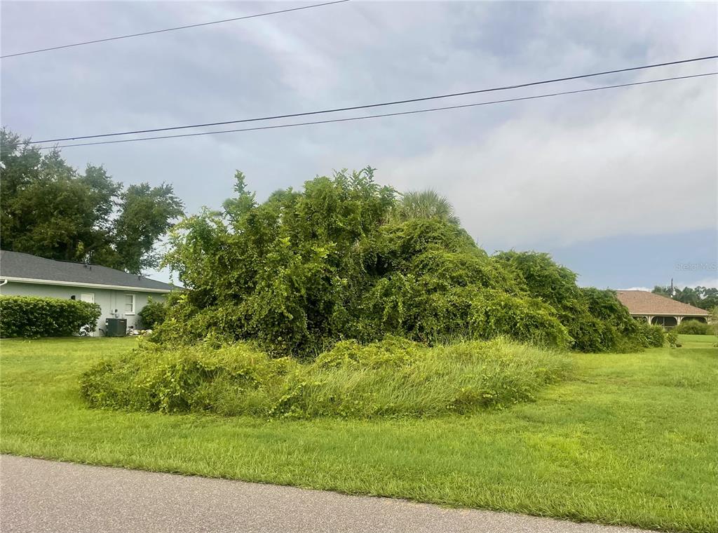 A large, overgrown bush and tall grass occupy a vacant lot next to a house — 2143 ULSTER COURT, PUNTA GORDA, FL