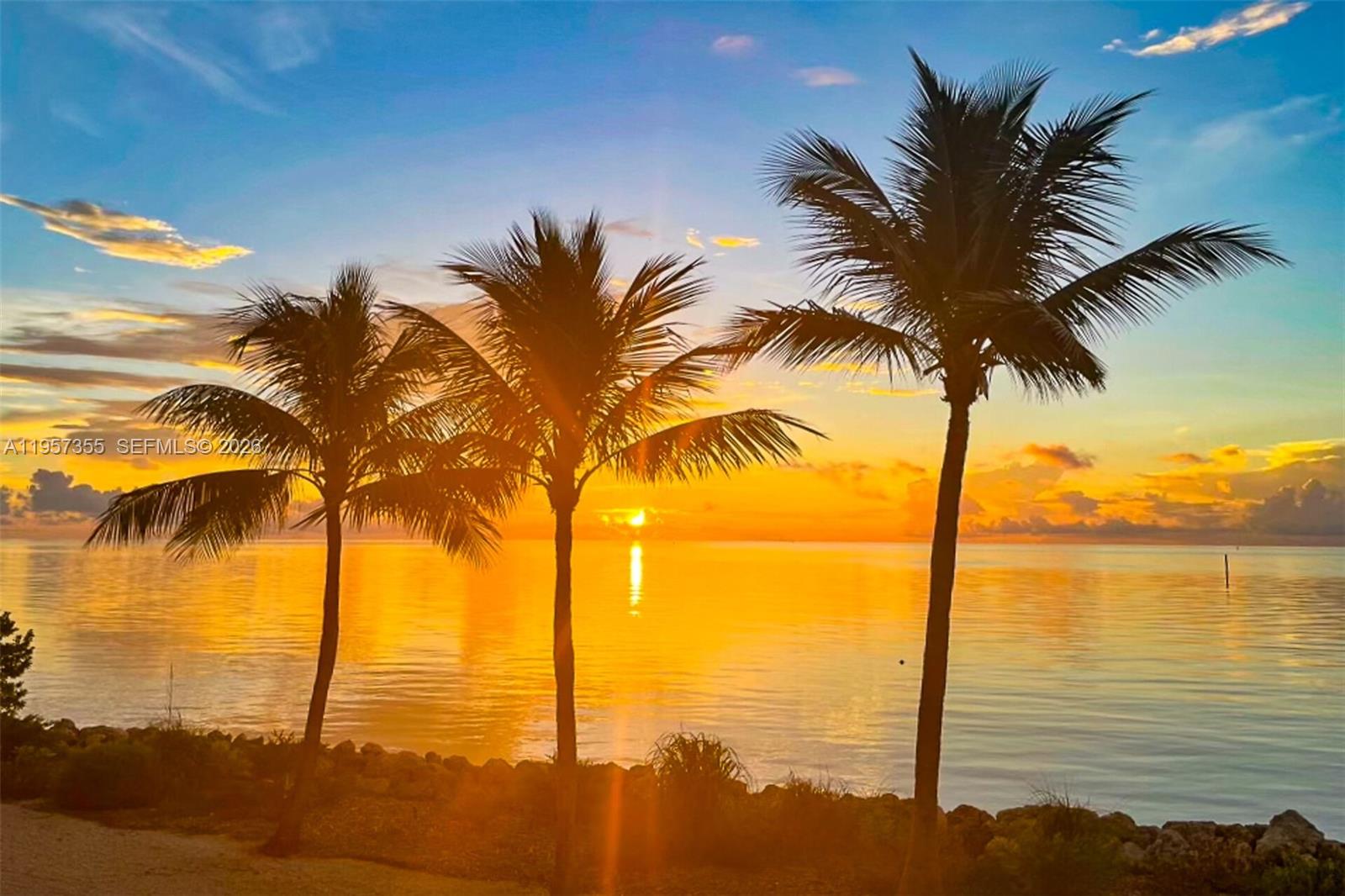 Three palm trees stand along a rocky shoreline overlooking a sunset over the ocean — 1501 Ocean Bay Dr # A1, Key Largo FL 33037, KEY LARGO, FL