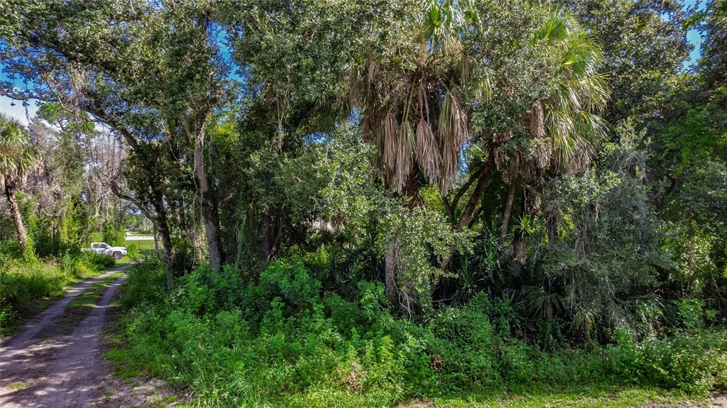 A dirt path leads past dense trees and foliage on a wooded residential lot — 1104 BUENA VISTA CIRCLE, PORT CHARLOTTE, FL