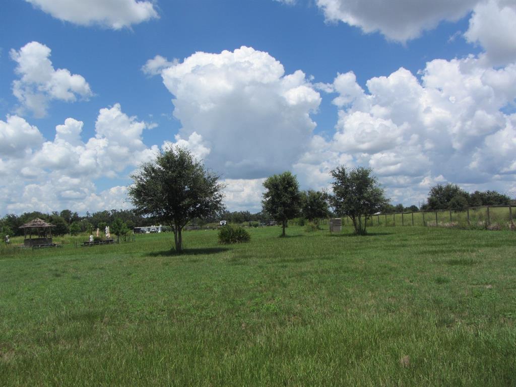 A grassy field features scattered trees, a small gazebo, and a fence under a cloudy sky — 46365 STATE ROAD 64 E, MYAKKA CITY, FL