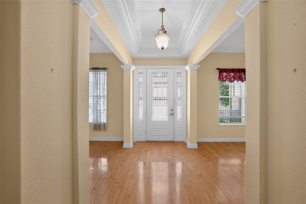 An entryway features light yellow walls, hardwood flooring, a tray ceiling, and a white door — 10104 BALCONY STREET, NEW PORT RICHEY, FL