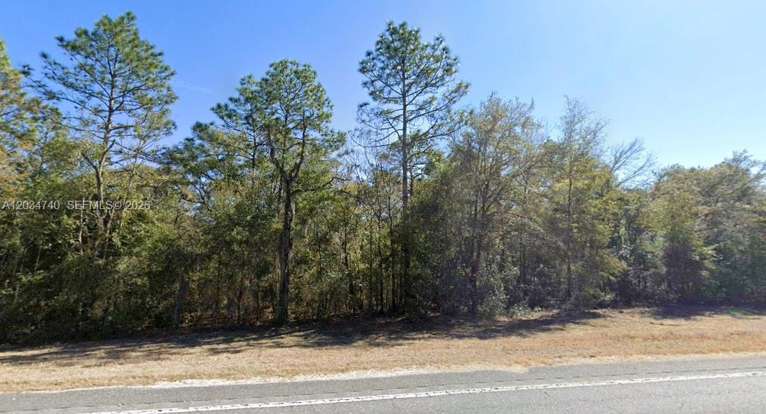 A view of a wooded lot bordering a paved road under a clear blue sky — Lot 2 STR 121, Williston FL 32696, WILLISTON, FL