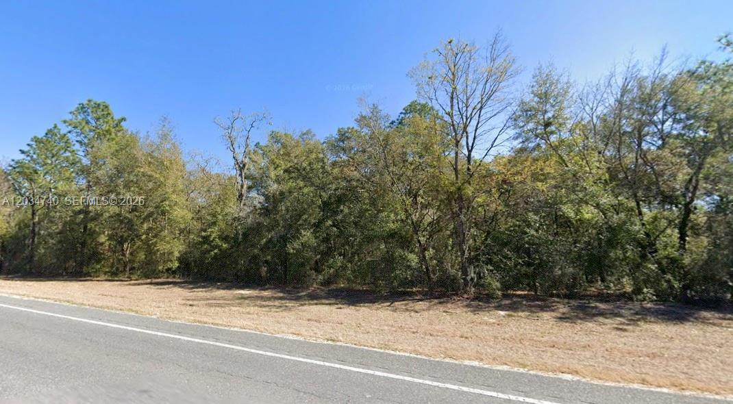 A paved road runs in front of a dense, wooded lot under a clear sky — Lot 2 STR 121, Williston FL 32696, WILLISTON, FL