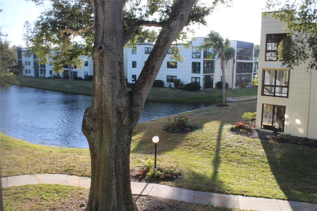 14130 ROSEMARY LANE UNIT 3203