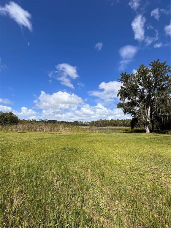 1029 VAN DYKE ROAD, LUTZ, FL — photo 5 of 17