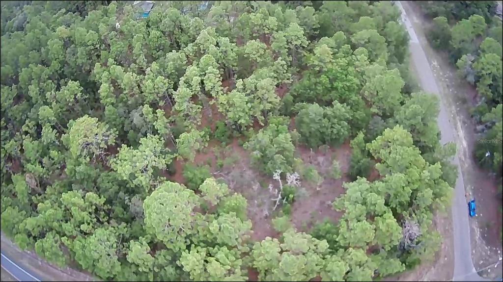 An aerial view of a wooded, undeveloped lot bordered by a paved road — 9223 N BERTIN DRIVE, CITRUS SPRINGS, FL