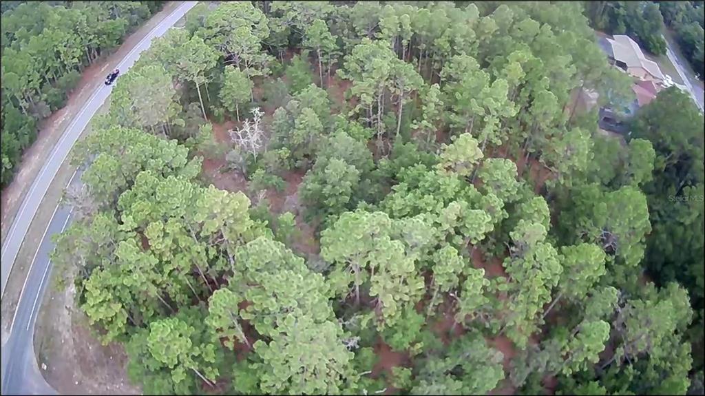 An aerial view shows a wooded lot bordered by a road and nearby residential houses — 9223 N BERTIN DRIVE, CITRUS SPRINGS, FL