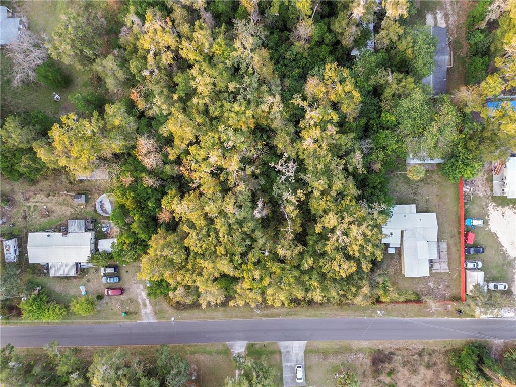 An aerial view shows a wooded lot situated between two houses along a paved road — 6301 W GOLDENLEAF LANE, CRYSTAL RIVER, FL