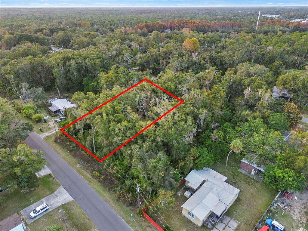 An aerial view shows a rectangular, wooded vacant lot outlined in red next to houses — 6301 W GOLDENLEAF LANE, CRYSTAL RIVER, FL