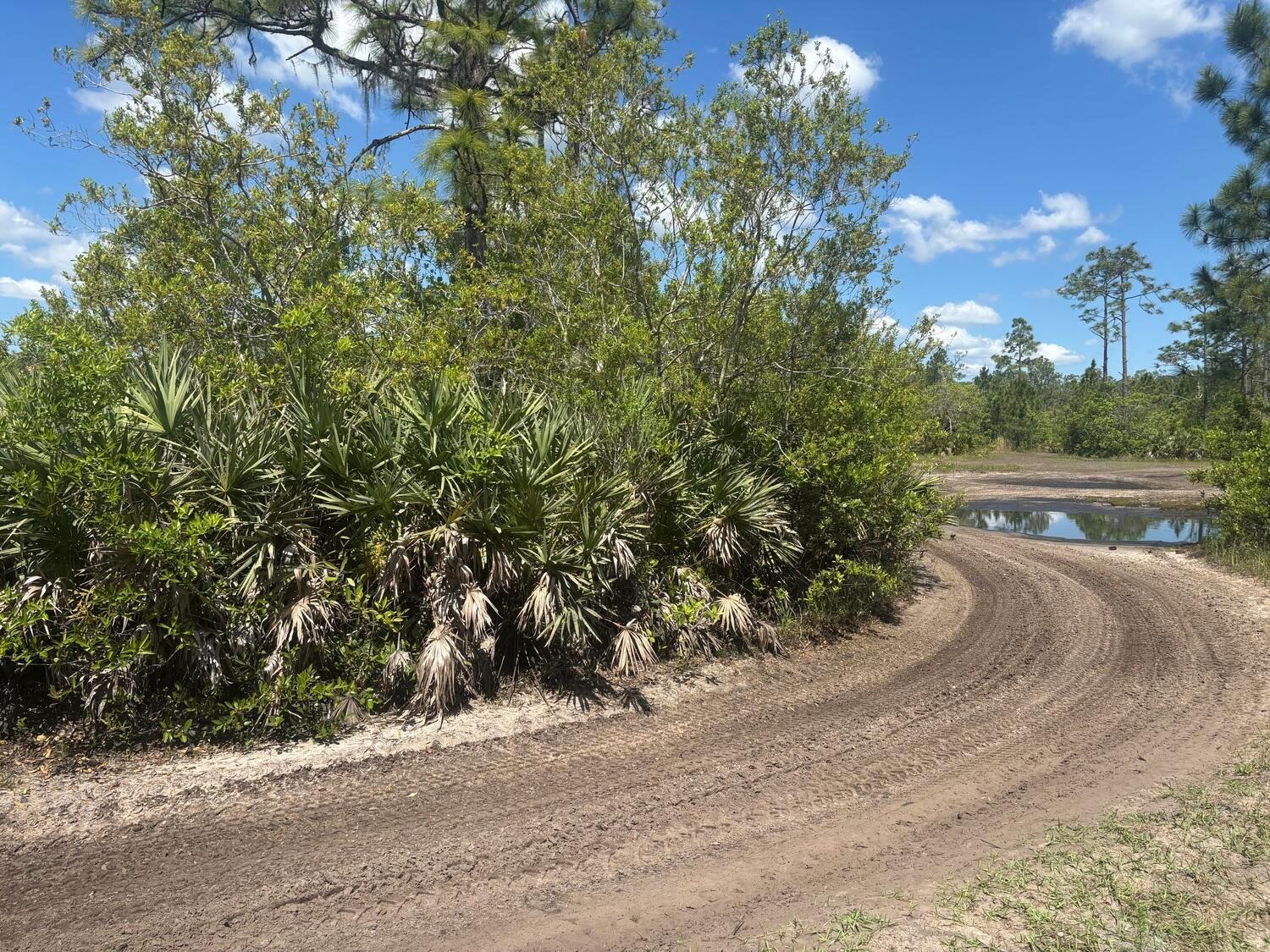 A dirt path curves past a small pond and dense vegetation under a blue sky — 0 Holopaw Groves Road, FL 34772, FL