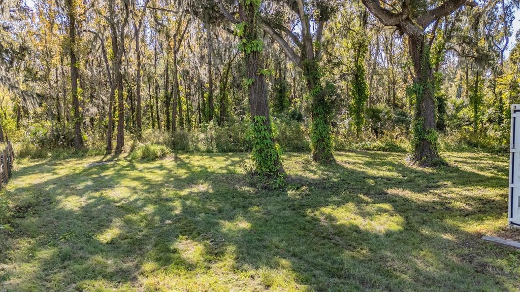 A grassy yard with several large trees covered in vines and Spanish moss — 18113 672 HIGHWAY, LITHIA, FL