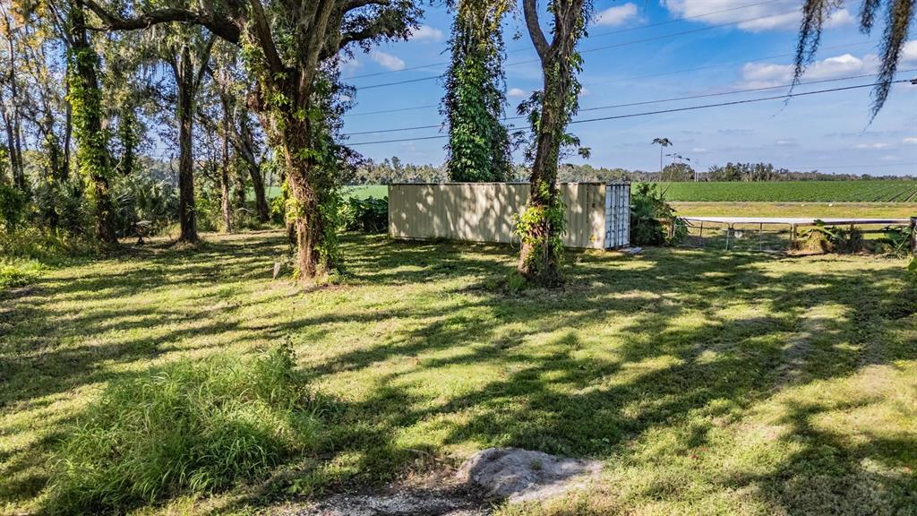 A grassy yard features several large trees and a metal shipping container near a field — 18113 672 HIGHWAY, LITHIA, FL