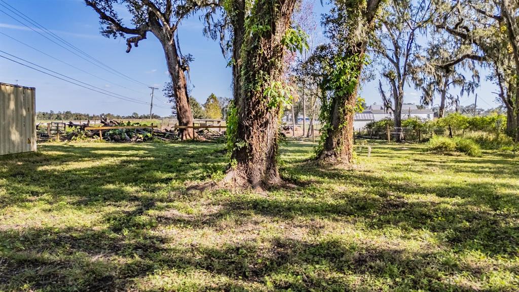 A grassy yard features several large, moss-draped trees and a shipping container on the left — 18113 672 HIGHWAY, LITHIA, FL