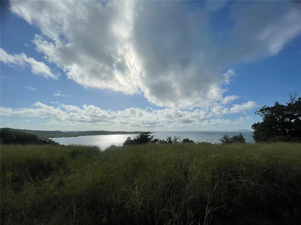 Carr 3 BENNINGTON ROAD, NAGUABO, PR — photo 5 of 5