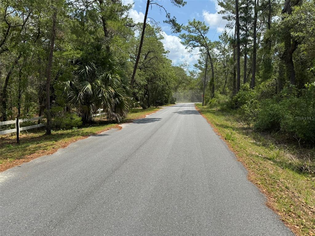 A paved road winds through a wooded area with a white fence on the left — Lot 62 MICHIGAN AVENUE, WEEKI WACHEE, FL