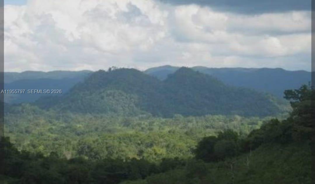 A scenic view of a lush, green mountain range under a cloudy sky — 00 Ethel Town, Westmoreland, Jamaica, FL