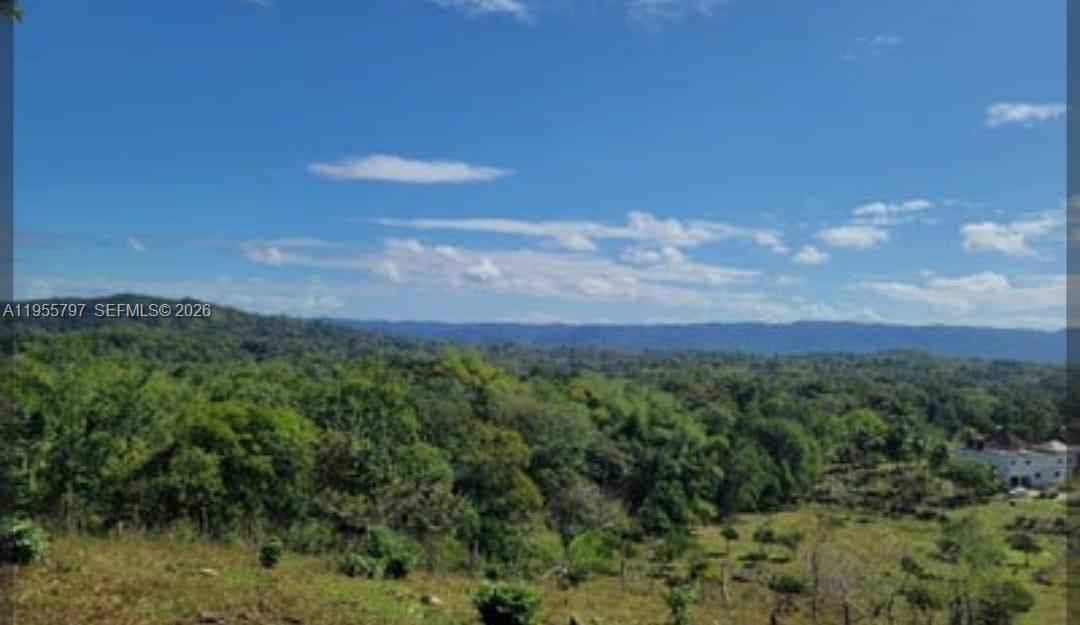 A wide-angle view of a lush green landscape with trees, fields, and distant mountains — 00 Ethel Town, Westmoreland, Jamaica, FL